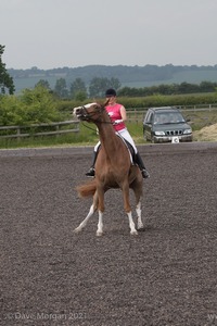 ISIS Dressage Challenge 2008